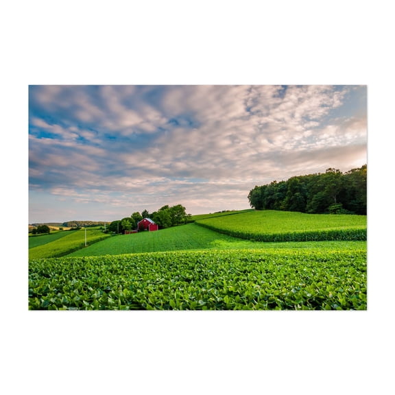 Green Pastures - Pennsylvania Photography Unframed Wall Art Print 12 x 18 inches