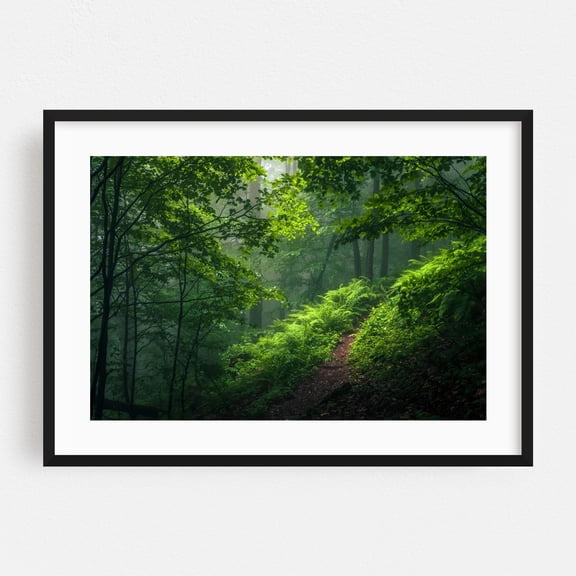 Green Path - Bulgaria Photography Forest Nature Woodland Scenic Wilderness Landscape Botanical Black Framed Wall Art Print 16 x 24 inches