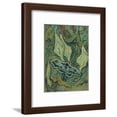thumbnail image 1 of Green Peacock Moth (The Emperor Mot), 1889, Animals Framed Art Print Wall Art by Vincent van Gogh Sold by Art.Com, 1 of 6