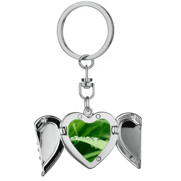 Green Picture Nature Heart Angel Wing Key Chain Holder