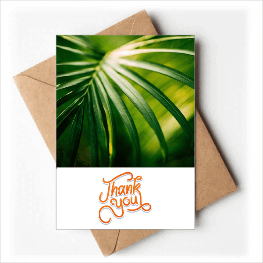 Green Picture Nature Thank You Cards Envelopes Blank Note