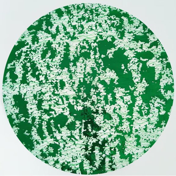 Green Placemats Disposable Set of 50 Green Charger Plates Doilies Metallic Thin Mesh Round 13 Inch Glitter Foil Pressed Dining Table Decoration Centerpieces for Party Wedding Birthday