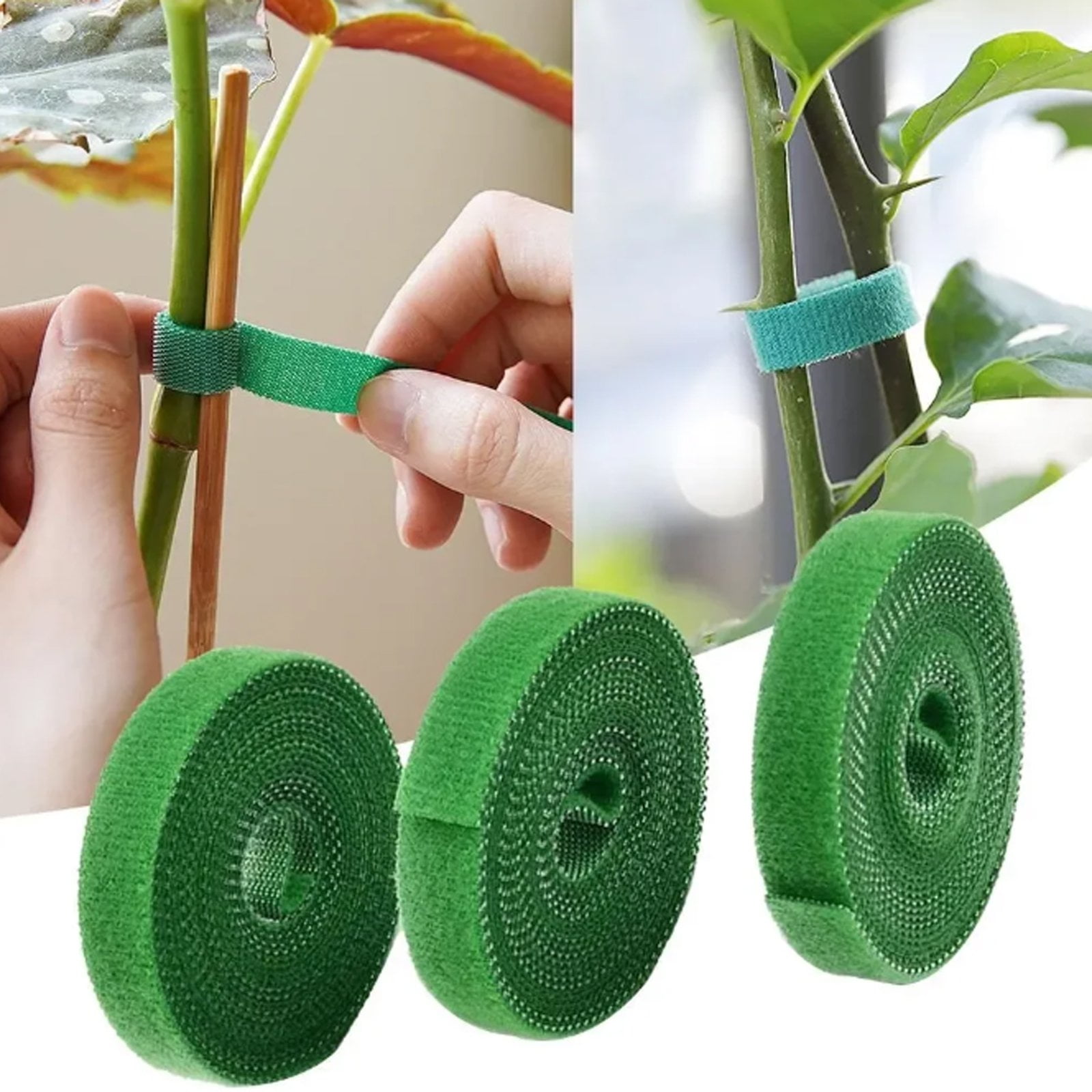 Green Plant Tie Wire Self-adhesive Plant Tie, Climbing Vine Flower Tie ...