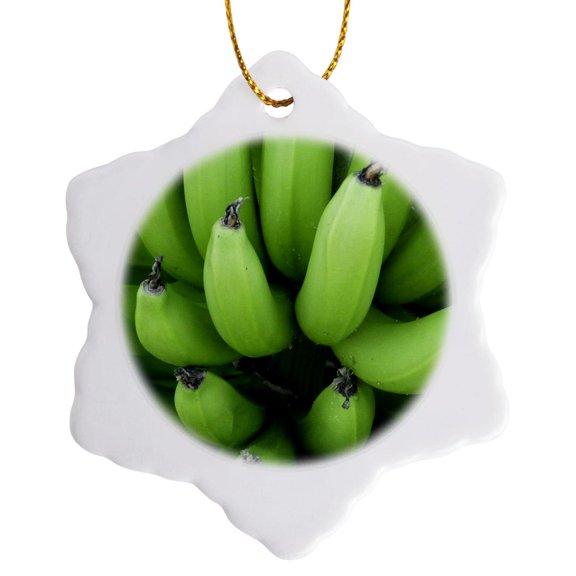 3drose, Green Plantains Bananas Cousin, 3 inch Snowflake Porcelain Ornament