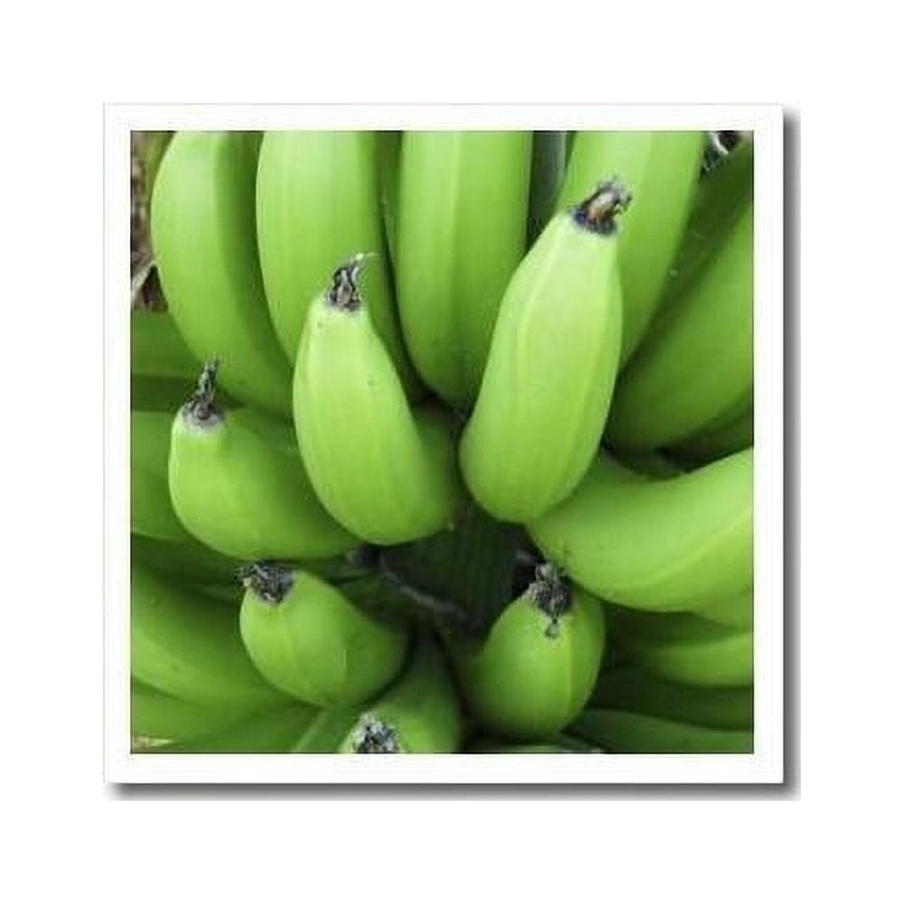 Green Plantains Bananas Cousin Iron On Heat Transfer For White Material, 6 By 6Inch