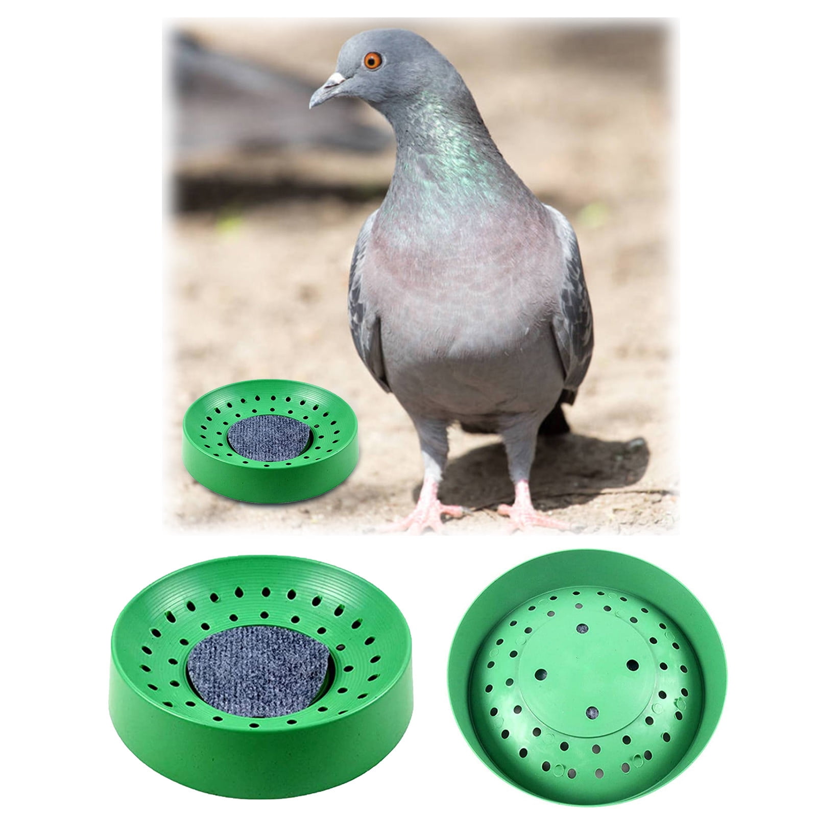Nesting Bird Dish