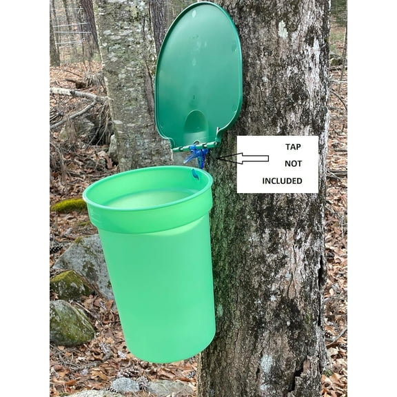 Green Plastic Bucket with Lid - for Collecting to Make Maple Syrup