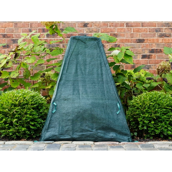 Green Polyethylene Shrub Cover 36 In. X 36 In. X 40 In.