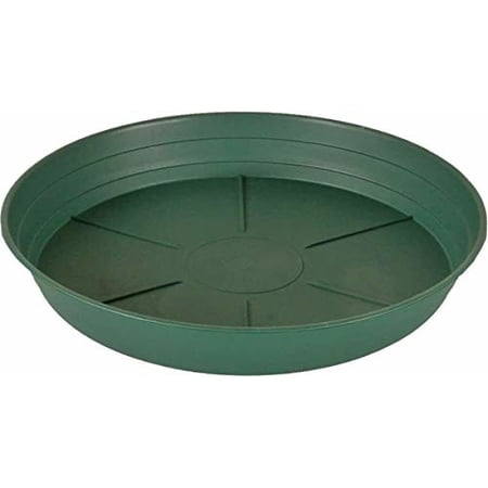 Green Premium Saucer 8 in.