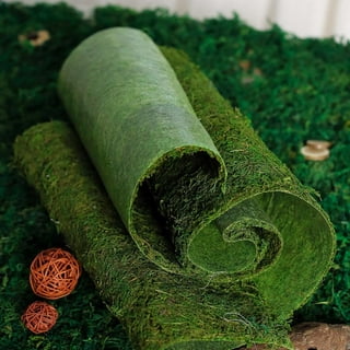 FAICOIA Moss Table Runner Dried Moss for Crafts Green Moss Roll for Fairy  Gardens Wedding Woodland Decor 12 x 71 Preserved Moss Mat for Table