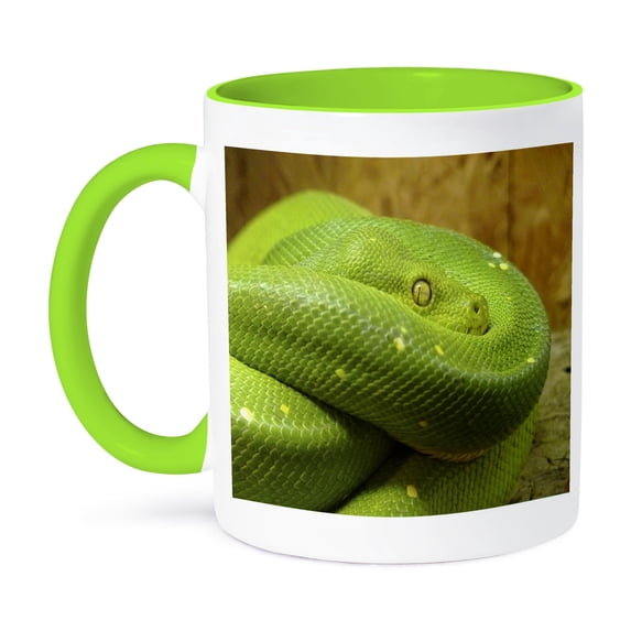 3dRose, Green Python Closeup, 15oz Two-Tone Green Mug