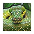 thumbnail image 1 of Green Python Pointillism - Canvas, 1 of 10