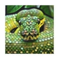 thumbnail image 1 of Green Python Pointillism - Canvas, 1 of 10