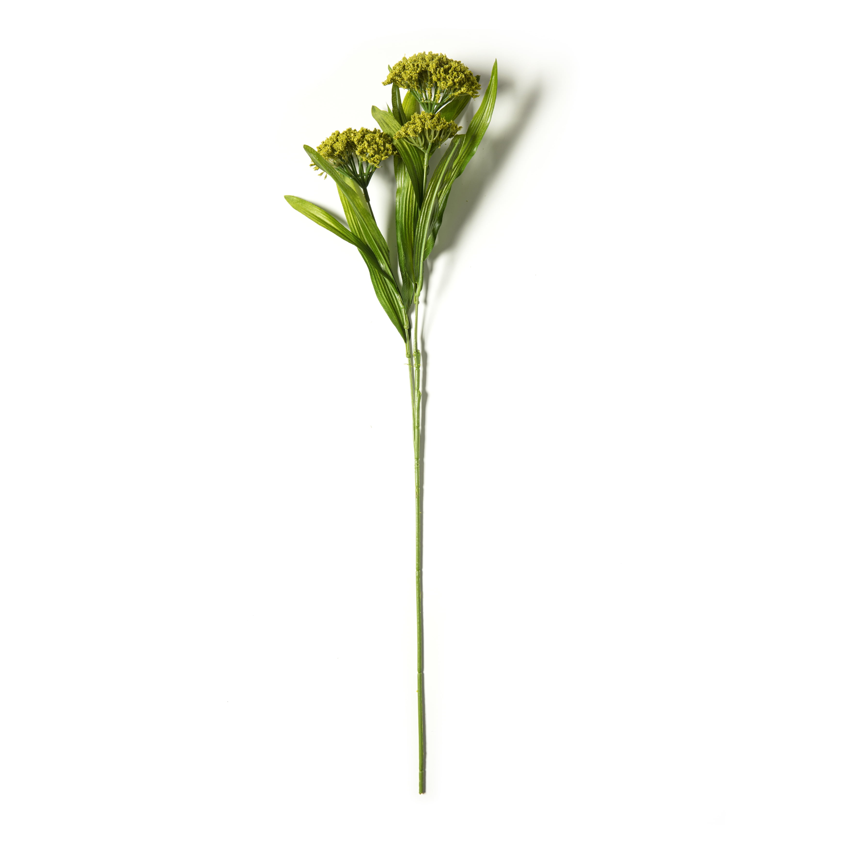 Green Queen Anne's Lace Stem by Ashland® - Walmart.com