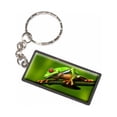 thumbnail image 1 of Green Red Eyed Tree Frog Rainforest Keychain Key Chain Ring, 1 of 1