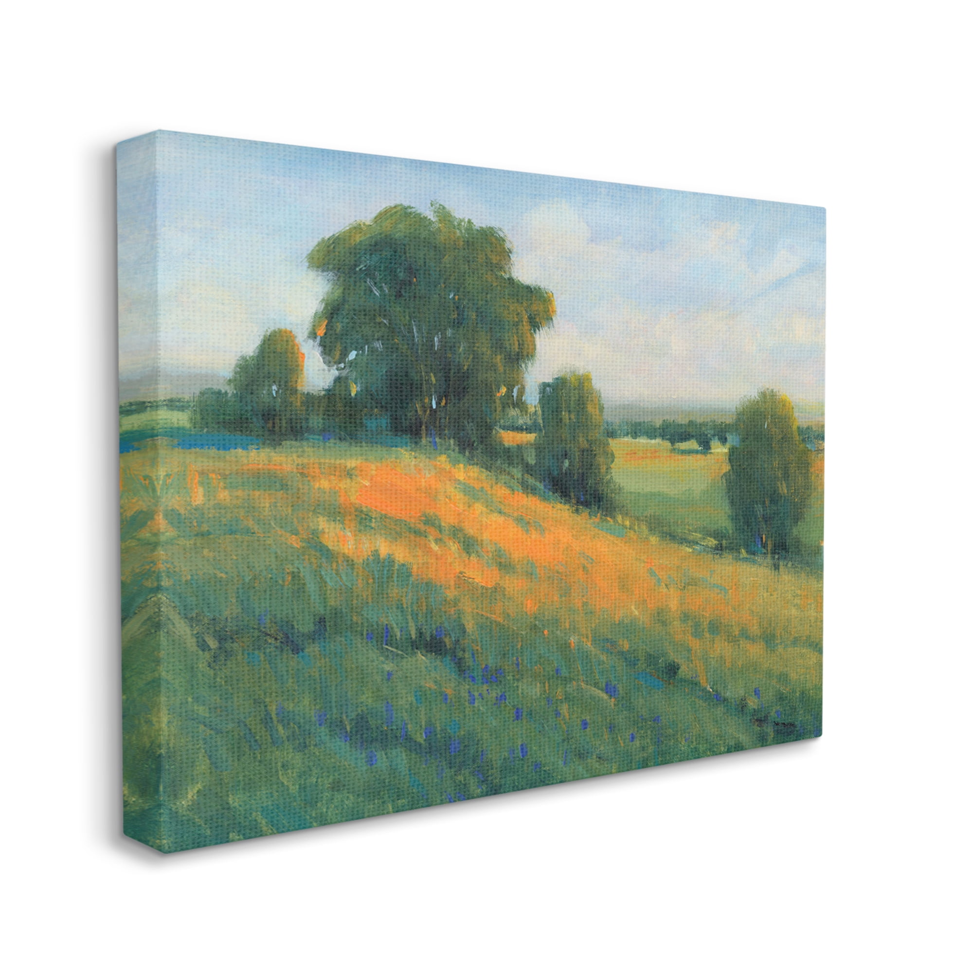 Stupell Industries Green Rolling Hills Blue Poppy Fields Landscapes,36 x 48,Designed by Tim OToole