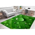 thumbnail image 1 of Green Rug, Water Drop Rug, Farmhouse Rugs, Floral Rug, Customs Rug, Cool Rug, Botanical Rug, Indoor Rug, Housewarming Gift, Trendy Rug, 2.6'x6.5' - 80x200 cm, 1 of 4