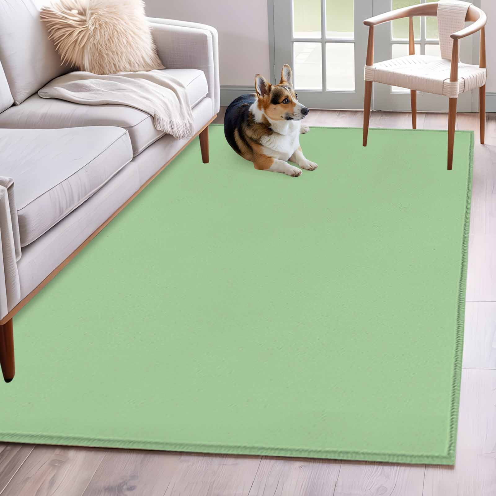 Green Runner Rug 2.7x5 FT, Non Slip Entryway Carpet, Minimalist Solid Color Modern Abstract Washable Soft Floor Carpet Entrance Mat Non-Shedding Throw Rug for Hallway Laundry Room Bedside