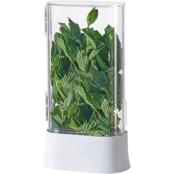 Green Saver Herb Keeper Refrigerator Storage Container for Cilantro, Asparagus, Fresh Herbs, Dishwasher Safe, Extends Freshness 10 Days