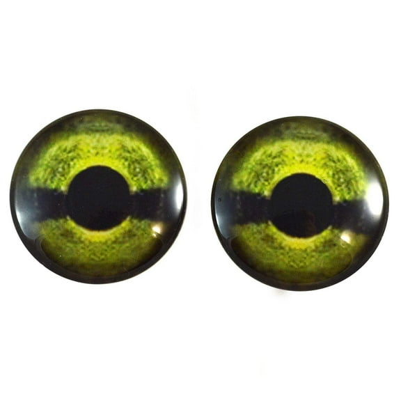 Green Sea Turtle Glass Eyes