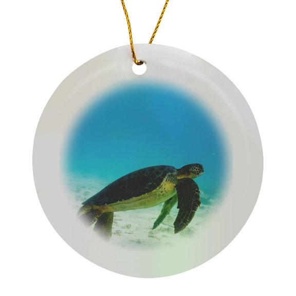 3drose, Green Sea Turtle, Underwater, Galapagos Islands, Circle Porcelain Ornament