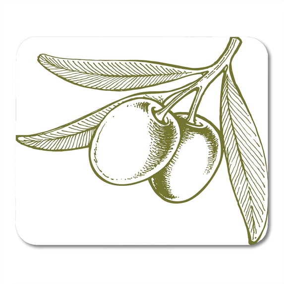 Green Sketch Olives on Branch Vintage Italy Old Tree Agriculture Mousepad Mouse Pad Mouse Mat 9x10 inch