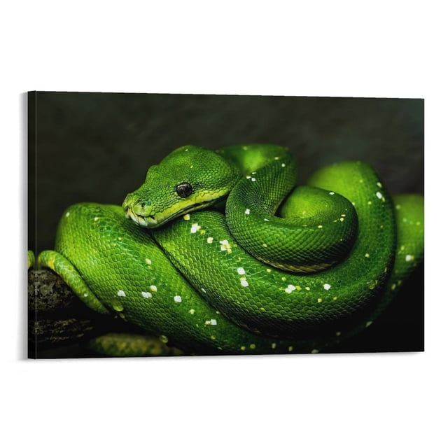 Green Snake Cute Animals Poster Cool Artworks Painting Wall Art Canvas ...
