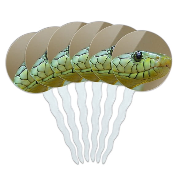 Green Snake Head Cupcake Picks Toppers - Set of 6