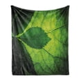 thumbnail image 1 of Green Soft Flannel Fleece Blanket, Nature Forest Big Amazon Brazilian Tree Leaf with Vein and Sunbeams Image, Cozy Plush for Indoor and Outdoor Use, 70" x 90", Olive and Dark Green, by Ambesonne, 1 of 6