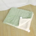 thumbnail image 1 of Green Soft Fleece Pet Blanket for Bed, Cozy Sherpa Dog Blanket for Crate, Warm Cat Mat for Small Pets Sleeping (18 X 22 Inch), 1 of 7