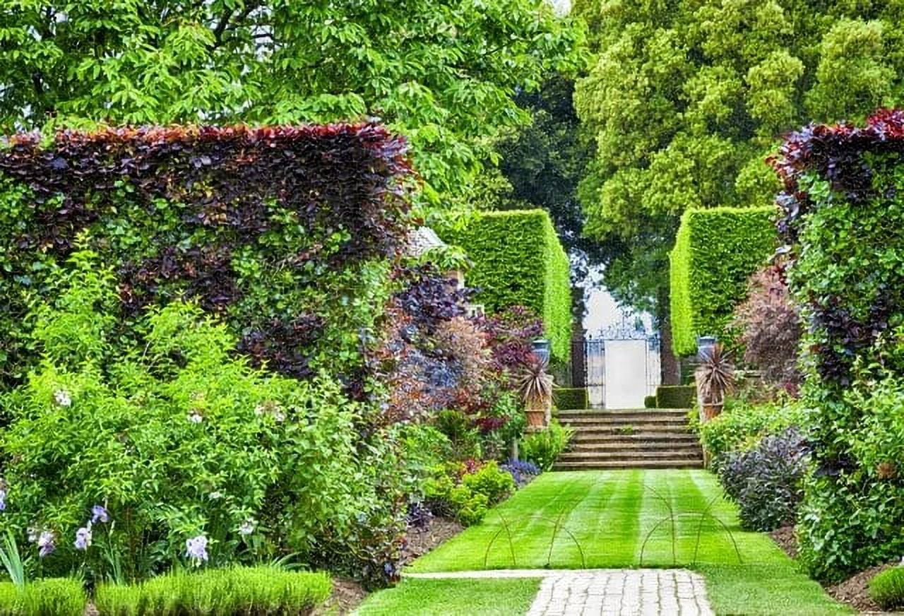 Green Spring Grass Flower Arch Door Wreath Garden Park Natural Scenic green-spring-grass-flower-arch-door-wreath-garden-park-natural-scenic