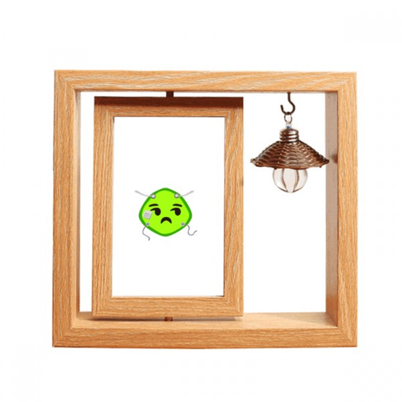 Green Squint Smail Head Expression Wooden Rotating Picture Photo Frame 4x6