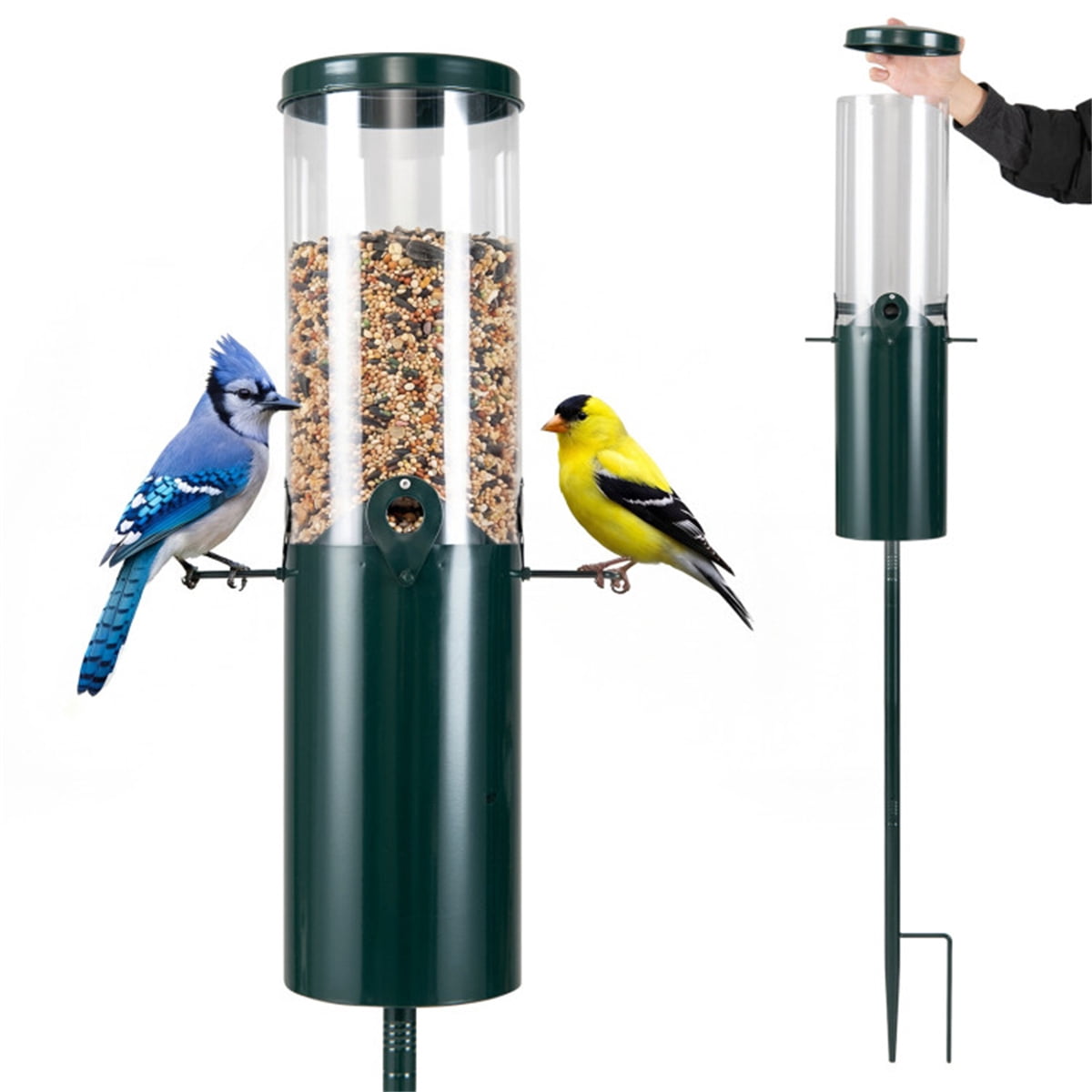 Green Standing Squirrel Proof Bird Feeder 4 Feeding Ports Heavy Duty Metal PC Pole Bird Feeder with 10 LBS Large Capacity for Outdoor Garden Patio