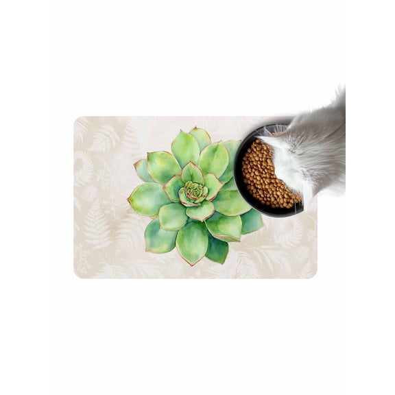 Green Succulent Doormat Non Slip Diatomaceous Earth Door Mat Absorbent Quick Dry Soft Washable Entrance Rug for Bathroom Laundry Room 16"x24"