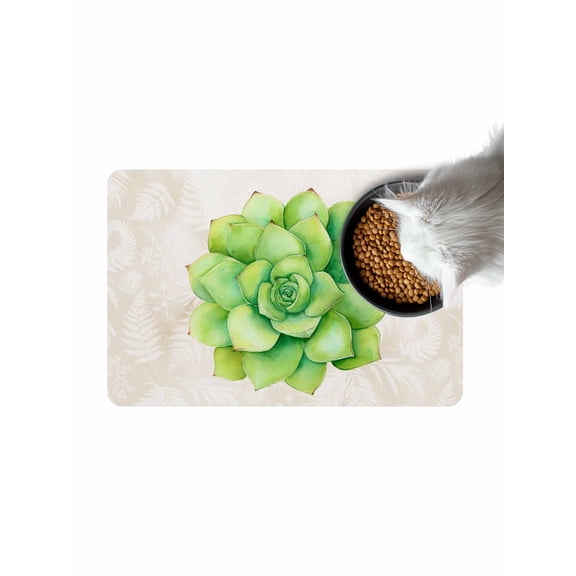 Green Succulent Doormat Non Slip Diatomaceous Earth Door Mat Absorbent Quick Dry Soft Washable Entrance Rug for Bathroom Laundry Room 16"x24"