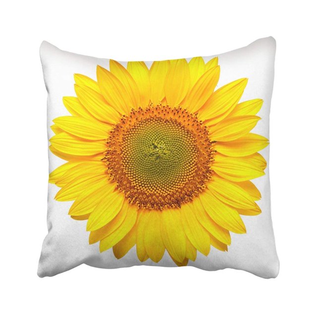 Green Sun Flower Of Sunflower White Seeds And Oil Flat Lay Top View