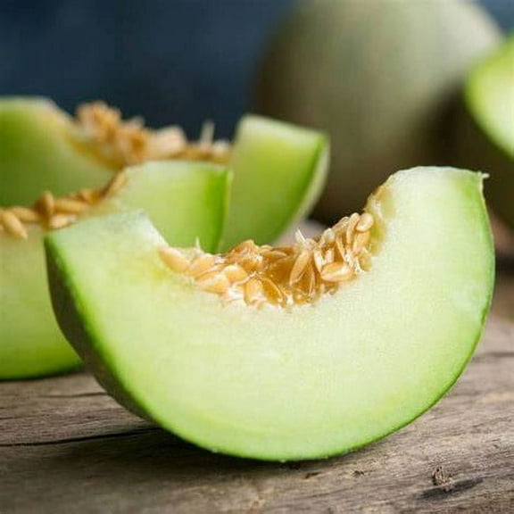 Green Sweet Honey Dew Melon Seeds - 200 Count Seed Pack - Has a Smooth, Creamy White Skin with Lime-Green Flesh That is Incredibly Sweet with a Small Seed Cavity. - Country Creek LLC