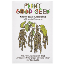 Green Tails Amaranth Seeds