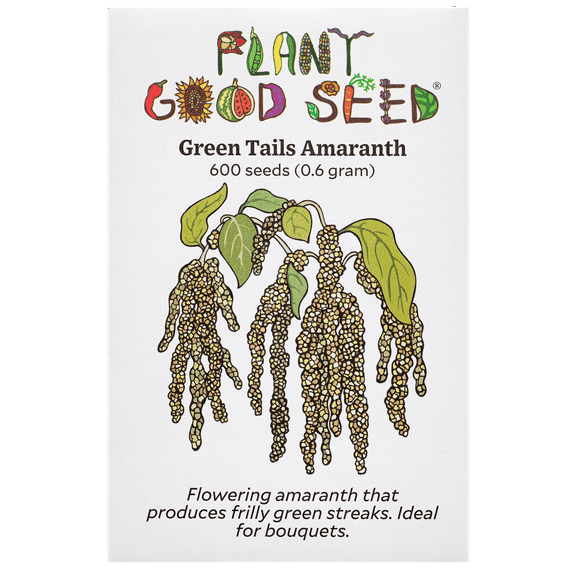 Green Tails Amaranth Seeds