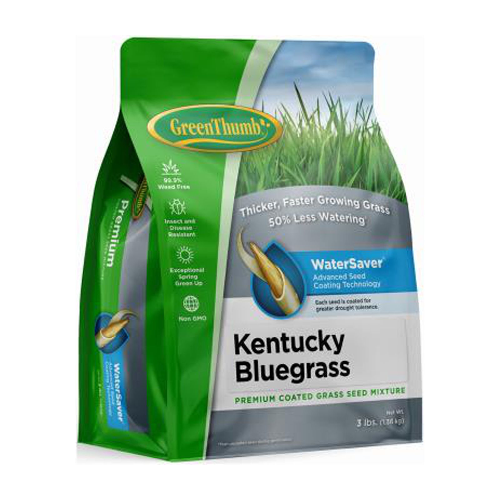 Green Thumb GREUN210 Premium Coated Kentucky Bluegrass Seed, 3 Lbs ...