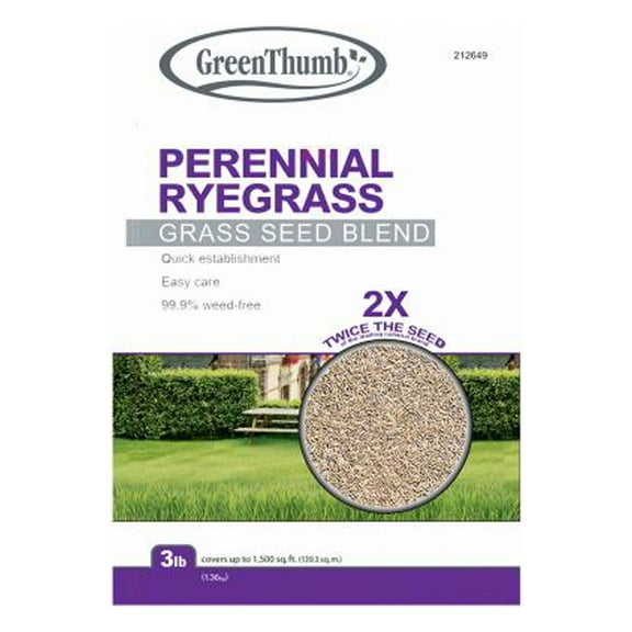 Green Thumb GTPRG3 Perennial Ryegrass Seed Mix, 3 Lbs., Covers 420 Sq. Ft. - Quantity 16