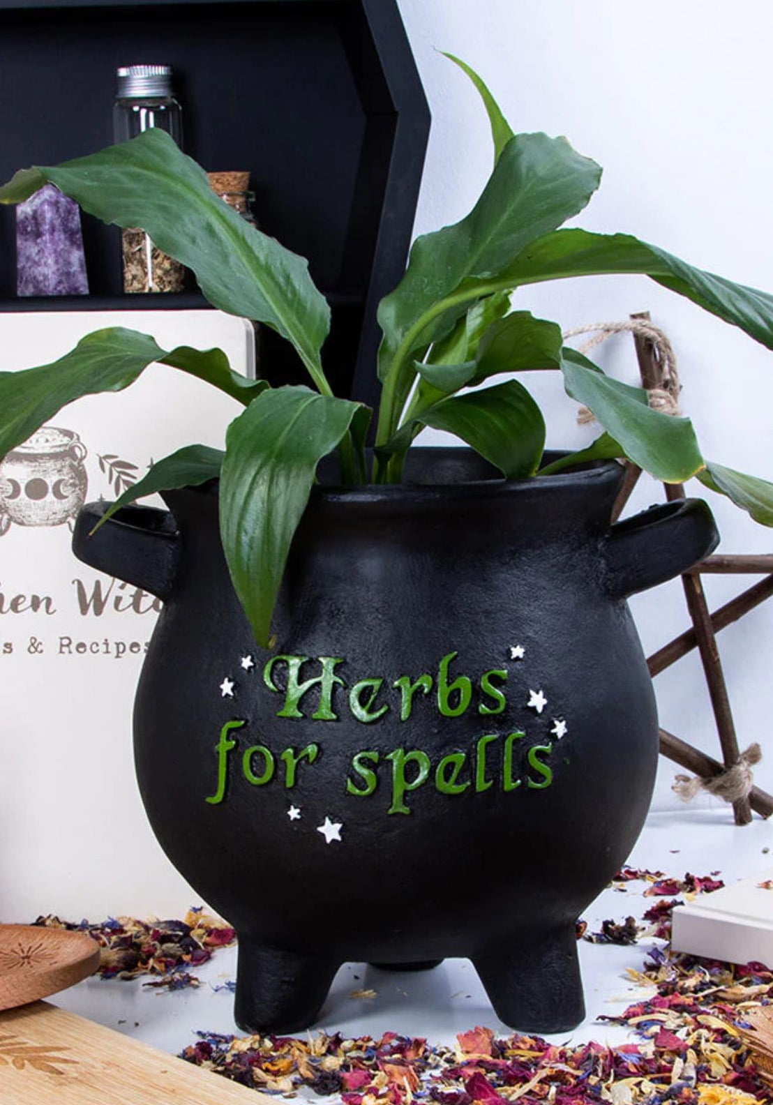 Green Thumb Witch Gardening Black Herbs For Spells Cauldron Planter Pot 7.5"D