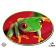 thumbnail image 1 of Green Tree Frog - 8" Vinyl Sticker - For Car Laptop I-Pad - Waterproof Decal, 1 of 1