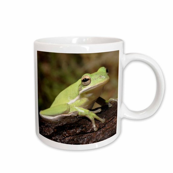 3drose, Green Tree Frog, Hyla Cineria - Na02 Aje0364 - Adam Jones, 11oz Mug