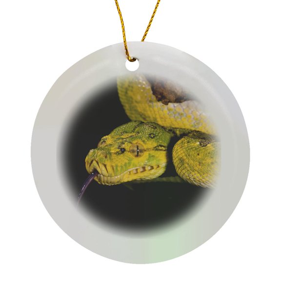 3drose, Green Tree Python Snake, Morelia Viridis - Na02 Dno0739 - David Northcott, Circle Porcelain Ornament
