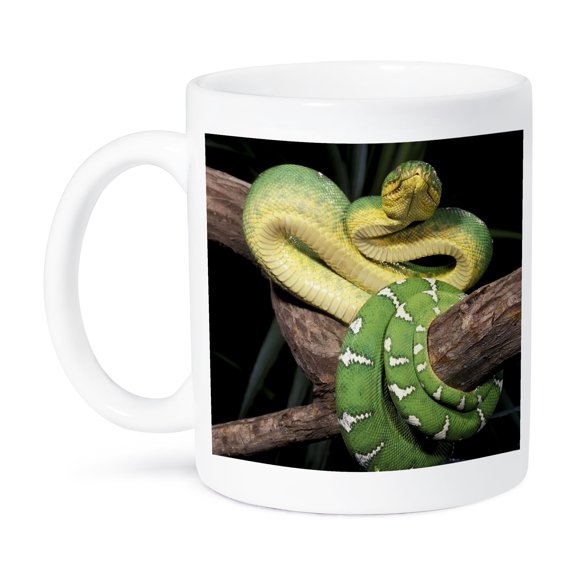 3dRose, Green Tree Python snake - NA02 CAD0043 - Claudia Adams, 15oz Mug