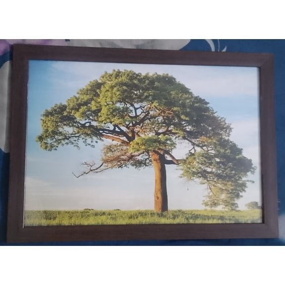 <new_title>Green Tree Scene Wall Decor 40 x 30 Framed Art Prints</new_title>