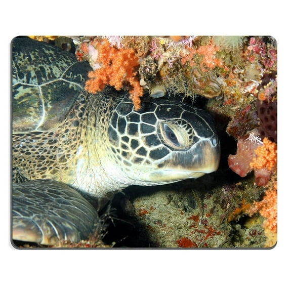 Green Turtle Mouse pads Gaming Mouse Pad 9.84x7.87 inches
