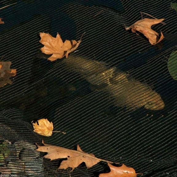 Green Vista 6x10 FEET Multi USE NET/Netting 60% Black Shade Cloth and Visual Block for Patios, Gardens, Greenhouses, Ponds and More