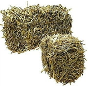 Green Vista Barley Straw Bales for Farm Pond Water Treatment - 12 to 15 Pounds - Treats 1/2 Acre Farm or Retention Pond for 6 Months! - Supports Water Balance - Safe for Koi, Fish and Plants